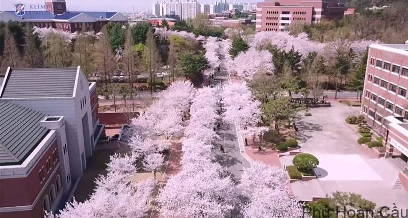 Đại học Keimyung Hàn Quốc - Ngôi trường đẹp nhất xứ sở kim chi