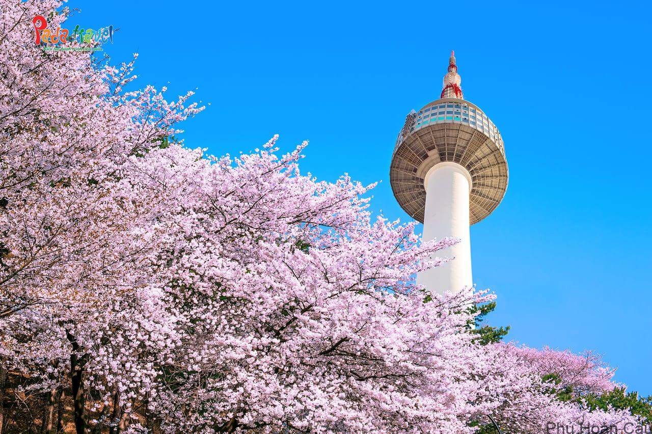 Tháp Namsan Hàn Quốc